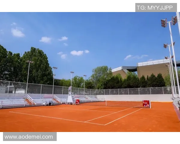 南京网球队近期状态分析与未来展望聚焦网球运动发展