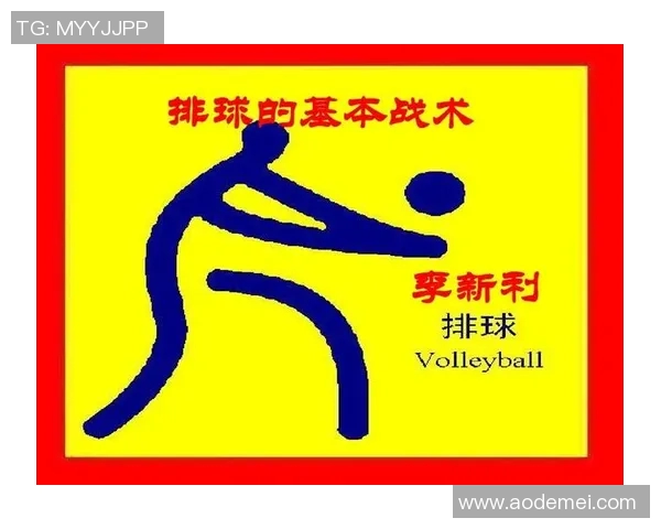 成都排球队战术解析：构建高效控制体系的实践与思考