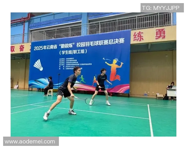 深入分析杭州羽毛球队控制打法的战术特点与应用策略