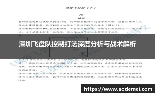 深圳飞盘队控制打法深度分析与战术解析