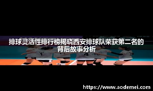 必一运动B-Sports