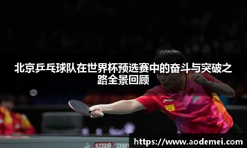 必一运动